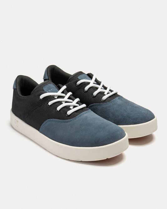 PLUG Blue × Black